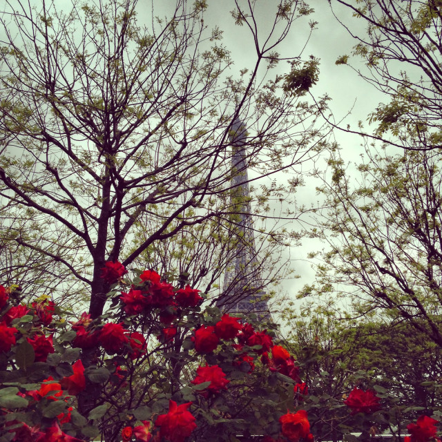 Springtime in Paris