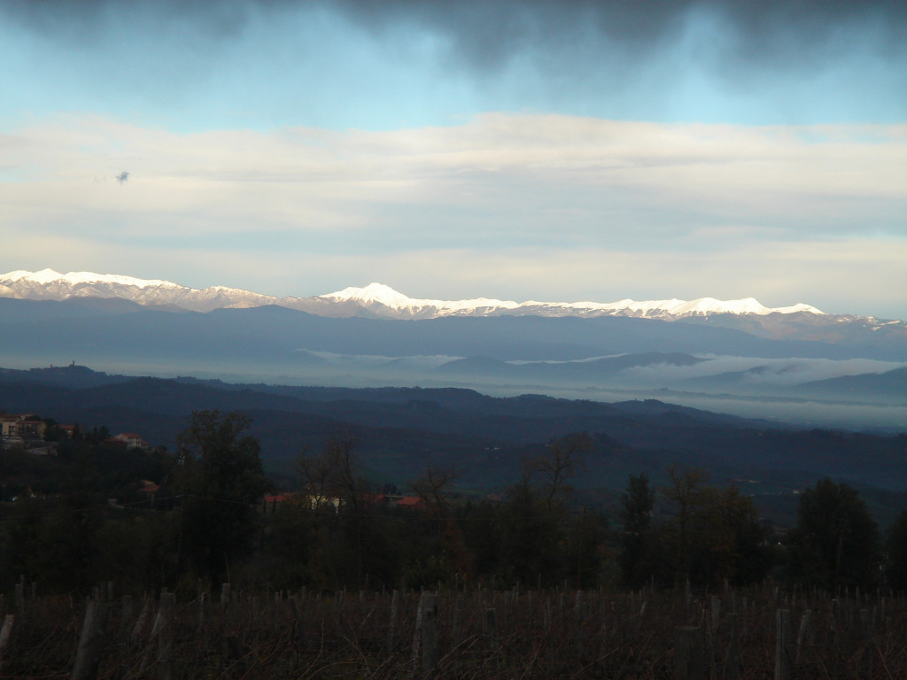 Castelfalfi.7