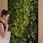 Shopping at Zazen Bear Soho
