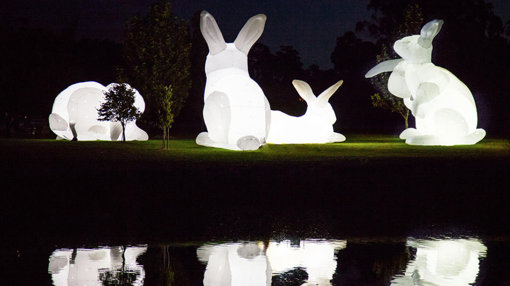 Amanda Parer.2