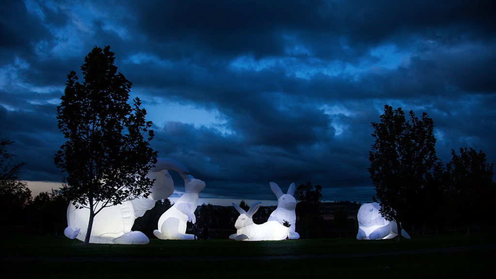 Amanda Parer.3