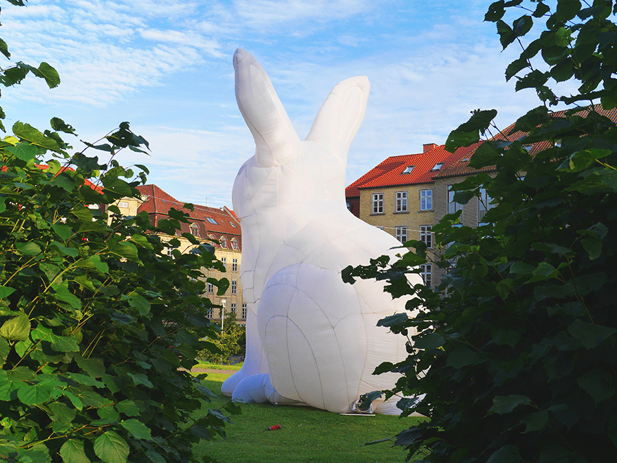 Friday’s Art Muse: Amanda Parer