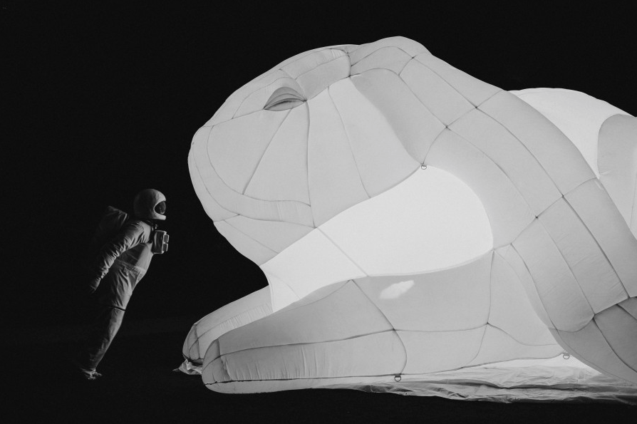 Amanda Parer.8