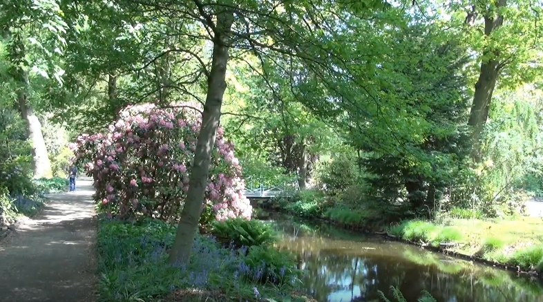 Botanical Garden & Arboretum Trompenburg in Rotterdam