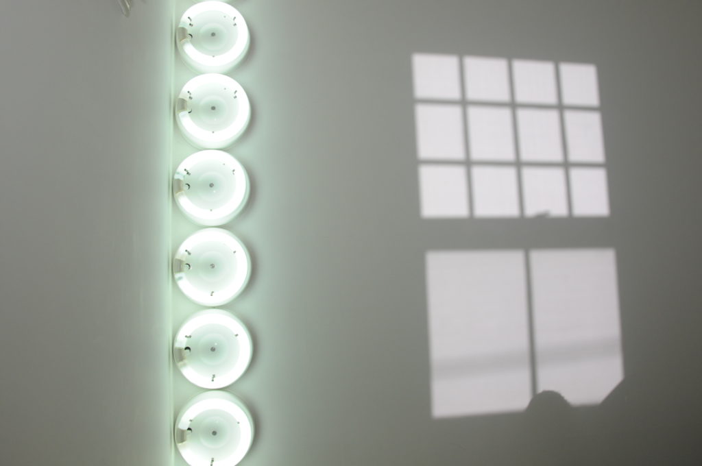 Sense c. Richard Lewin (268)