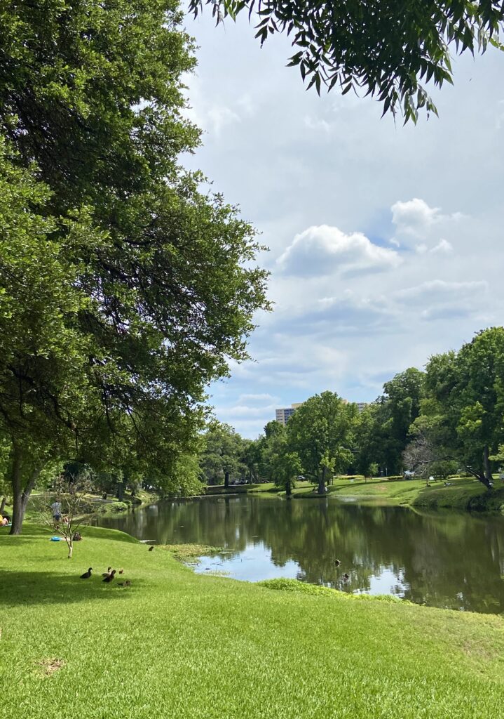 Hyland Park, Dallas, TX
